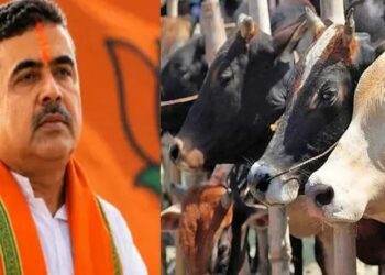 পশ্চিমবঙ্গে কোরবানির বাজারে অস্থিরতা, সিদ্ধান্ত নেবেন শুভেন্দু