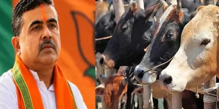 পশ্চিমবঙ্গে কোরবানির বাজারে অস্থিরতা, সিদ্ধান্ত নেবেন শুভেন্দু