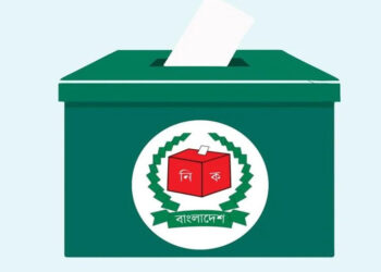 স্থানীয় সরকার নির্বাচনে ভোট দিতে পারবেন না প্রবাসীরা