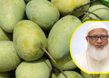 সংসদের সবাইকে ১০ কেজি করে  আম উপহার দিলেন জামায়াত আমির