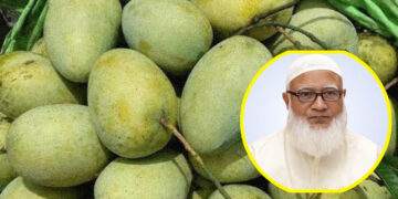 সংসদের সবাইকে ১০ কেজি করে  আম উপহার দিলেন জামায়াত আমির