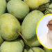 সংসদের সবাইকে ১০ কেজি করে  আম উপহার দিলেন জামায়াত আমির