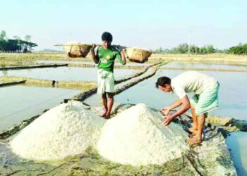 চলতি মৌসুমে লক্ষ্যমাত্রার চেয়ে প্রায় ৮ লাখ টন কম লবণ উৎপাদন
