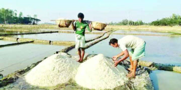 চলতি মৌসুমে লক্ষ্যমাত্রার চেয়ে প্রায় ৮ লাখ টন কম লবণ উৎপাদন