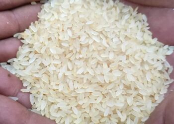 হিলিতে বেড়েছে সবধরনের চালের দাম