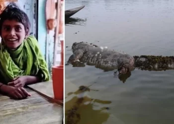 হযরত খানজাহান আলীর মাজারের দিঘি থেকে সরিয়ে ফেলা হচ্ছে কুমির