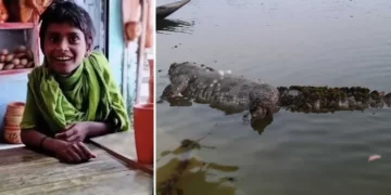 হযরত খানজাহান আলীর মাজারের দিঘি থেকে সরিয়ে ফেলা হচ্ছে কুমির