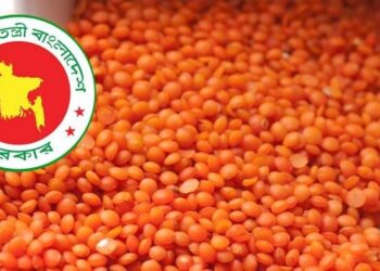 টিসিবির জন্য ১০ হাজার টন মসুর ডাল কিনছে সরকার