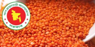 টিসিবির জন্য ১০ হাজার টন মসুর ডাল কিনছে সরকার