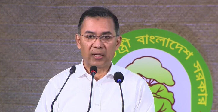 সরকারি হিসাবে ৭ লাখ দেখালেও গাছ লাগানো হয়েছে ২ লাখ: প্রধানমন্ত্রী