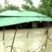 চট্টগ্রামের বাঁশখালীর পুরো এলাকা পানির নিচে, মানুষের দুর্ভোগ চরমে