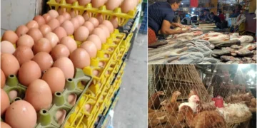 মাছ-ডিম-সবজির দামে নিম্নগতি, কমেছে সরবরাহ