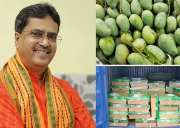 ত্রিপুরার মুখ্যমন্ত্রীর জন্য ৬০০ কেজি হাড়িভাঙ্গা-আম্রপালি পাঠাল সরকার