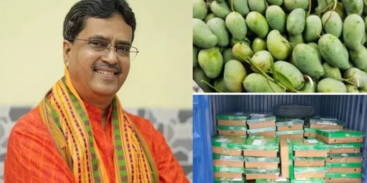 ত্রিপুরার মুখ্যমন্ত্রীর জন্য ৬০০ কেজি হাড়িভাঙ্গা-আম্রপালি পাঠাল সরকার