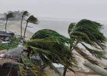 কক্সবাজার উপকূলে দুই দিনে মিলল ৫ লাশ