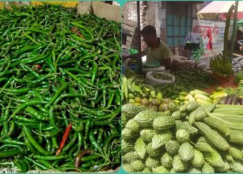 বৃষ্টির প্রভাবে চড়া সবজির বাজার, কাঁচা মরিচের কেজি ১৬০ টাকা