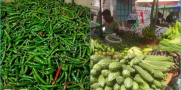 বৃষ্টির প্রভাবে চড়া সবজির বাজার, কাঁচা মরিচের কেজি ১৬০ টাকা