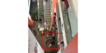 ফিনলে স্কয়ারের পঞ্চম তলা থেকে পড়ে যুবকের মৃত্যু, মিলেছে পরিচয়