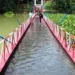 পানিতে ডুবল রাঙামাটির ঝুলন্ত সেতু, অনির্দিষ্টকালের জন্য বন্ধ চলাচল