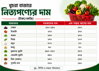 ১০০ টাকার কমে বাজারে মিলছে না কোনো সবজি