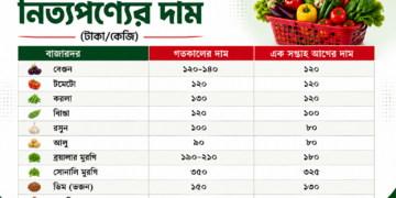 ১০০ টাকার কমে বাজারে মিলছে না কোনো সবজি