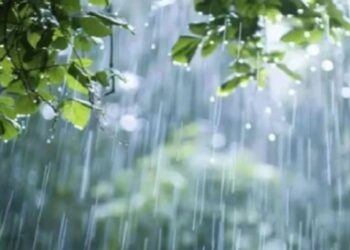 দেশের ৬ অঞ্চলে বজ্র-বৃষ্টির আভাস