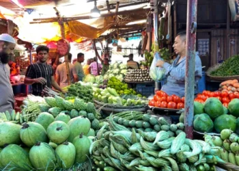 কাঁচামরিচের দাম কমলেও নিত্যপণ্যের বাজারে স্বস্তি নেই