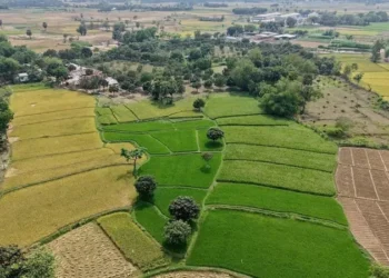 জমি নামজারির নতুন নিয়ম, যা কিছু জানা প্রয়োজন