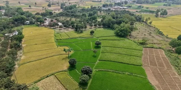 জমি নামজারির নতুন নিয়ম, যা কিছু জানা প্রয়োজন
