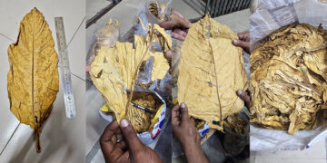 চট্টগ্রাম বন্দরে পাকিস্তান থেকে আনা ১৫০ টন কাঁচা তামাক আটক